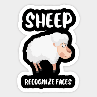 Sheep recognize Faces Animal Facts Sticker